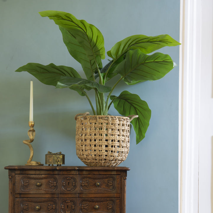 Pianta Artificiale Taro in Vaso H 91 cm – Effetto Tropicale