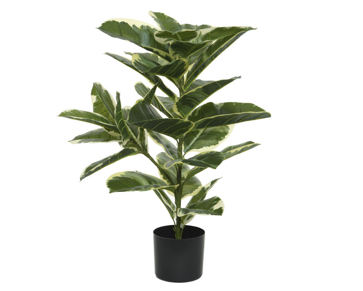 Pianta Artificiale Ficus in Vaso H 76 cm – Effetto Naturale