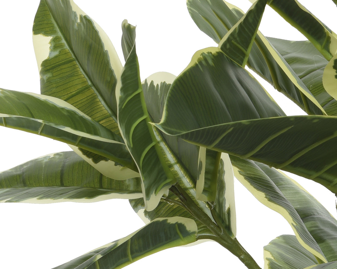 Pianta Artificiale Ficus in Vaso H 76 cm – Effetto Naturale