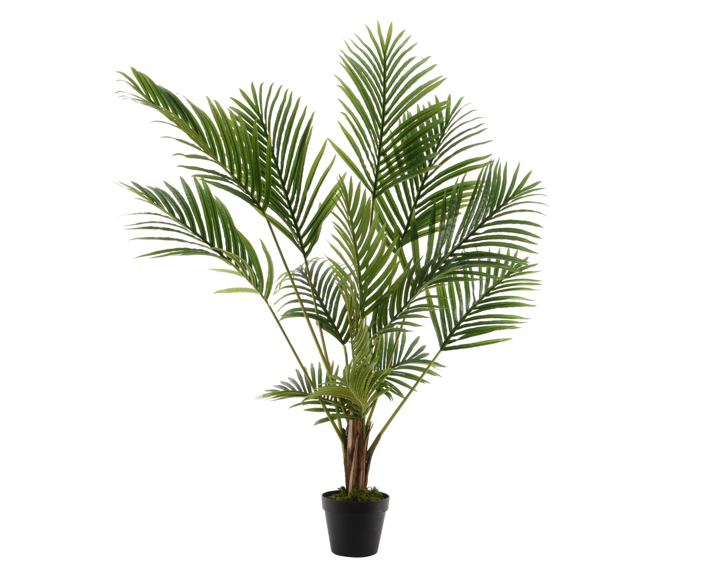 kentia Artificiale in Vaso H 125 cm