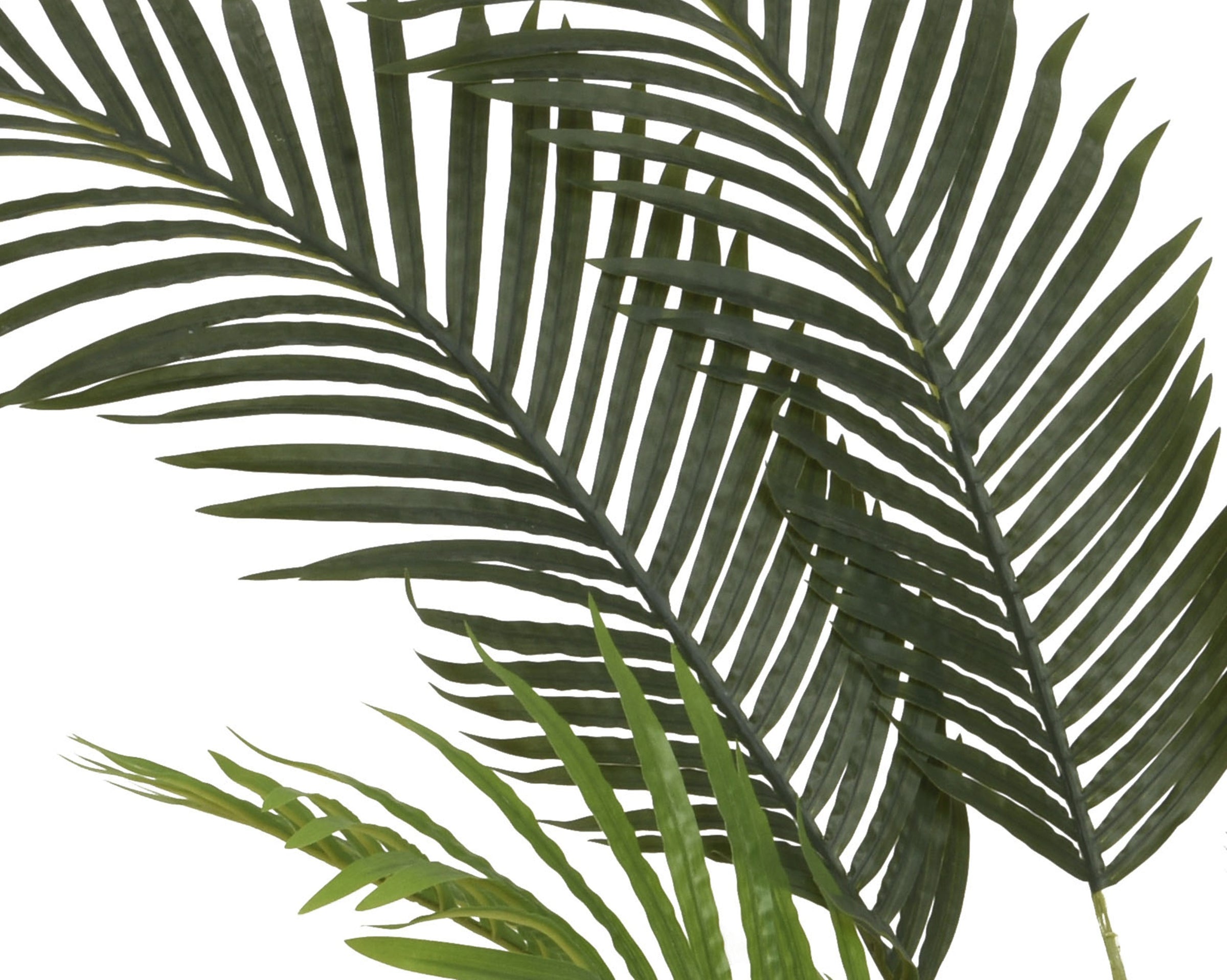 kentia Artificiale in Vaso H 150 cm