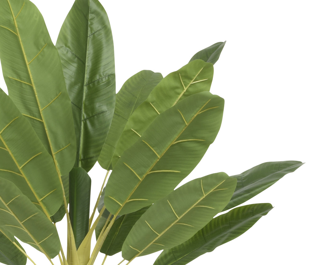 Pianta Artificiale Banano (Musa basjoo) in Vaso H 230 cm