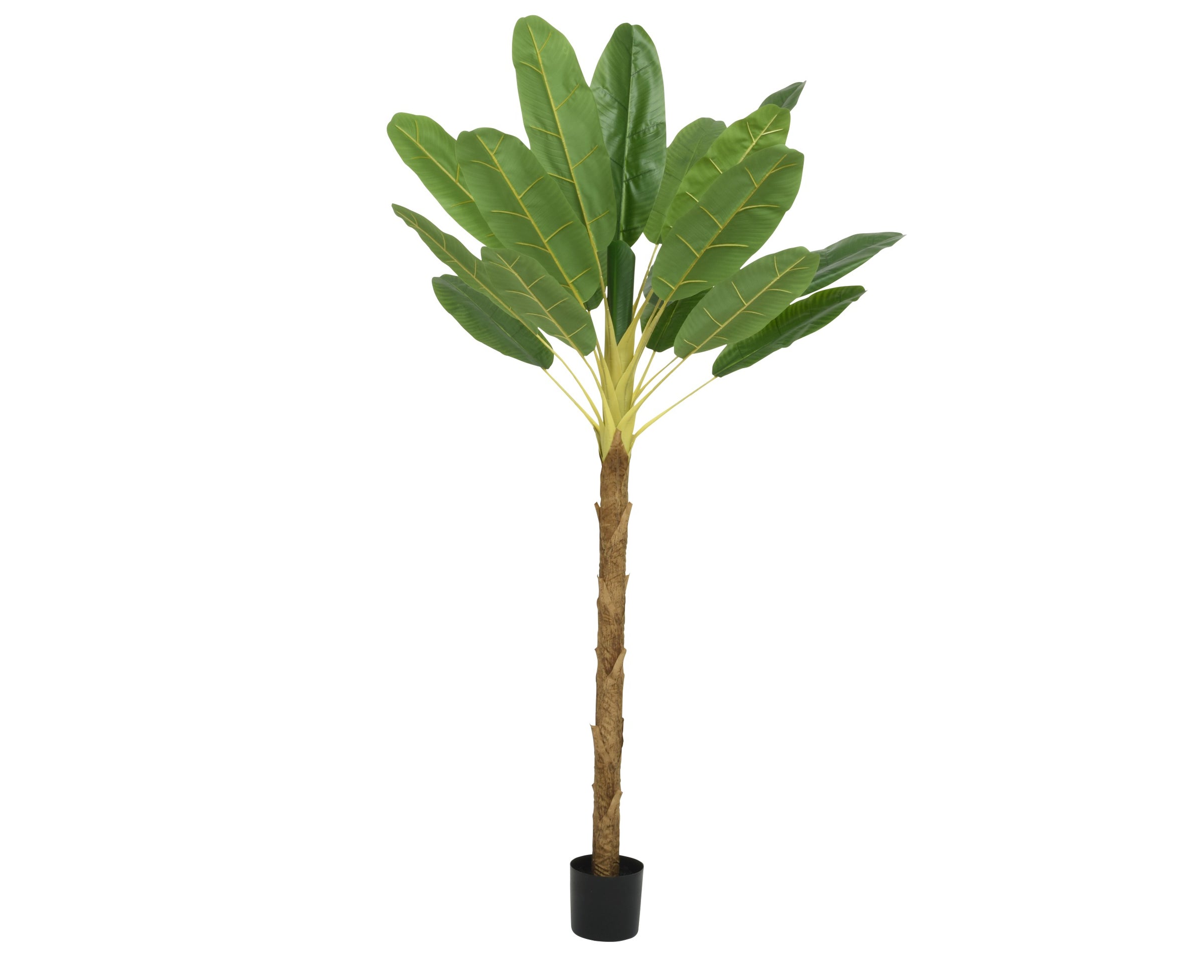 Pianta Artificiale Banano (Musa basjoo) in Vaso H 280 cm