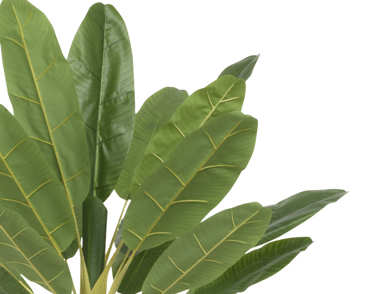 Pianta Artificiale Banano (Musa basjoo) in Vaso H 280 cm