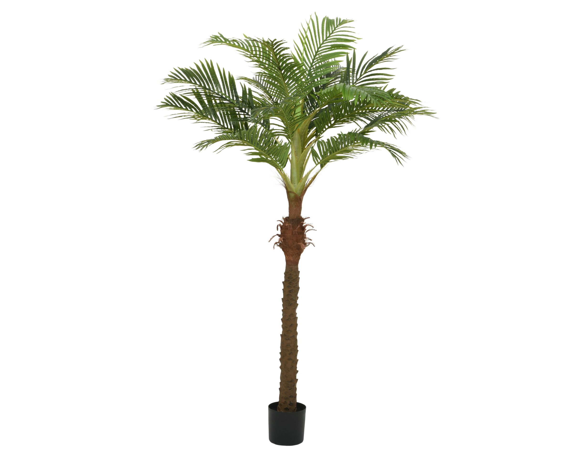 Palma Artificiale in Vaso H 230 cm – Foglie Setose in Poliestere