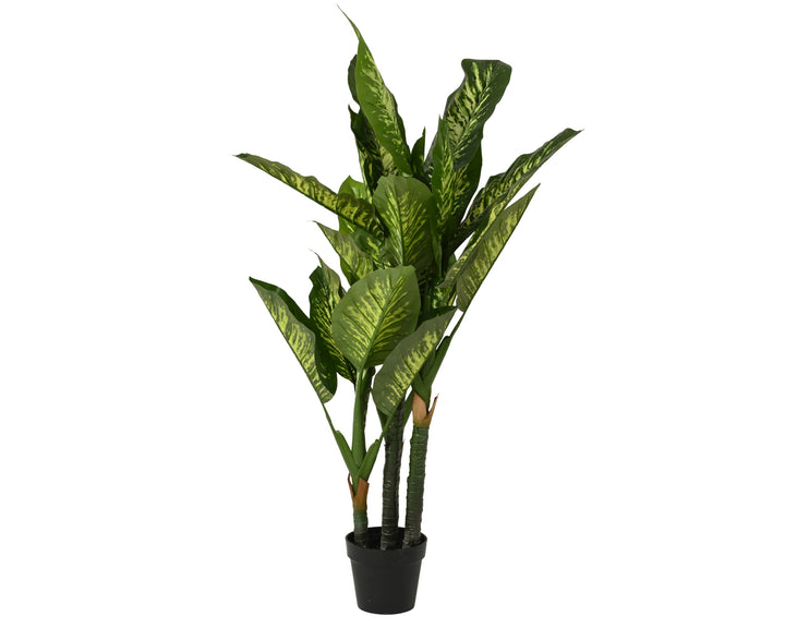 Pianta Artificiale Dieffenbachia in Vaso H 150 cm