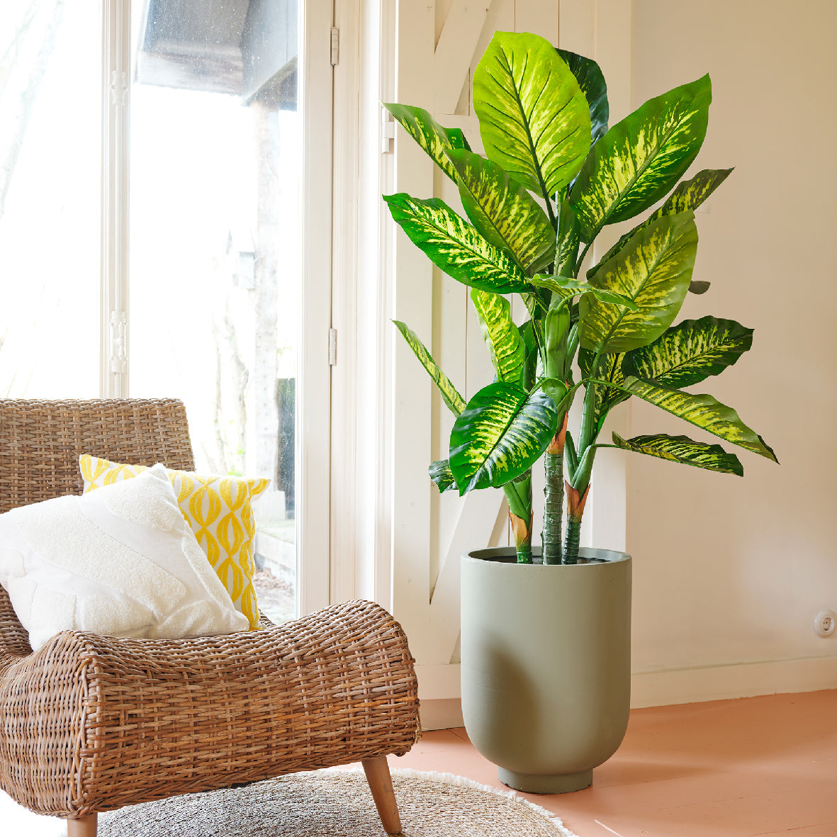 Pianta Artificiale Dieffenbachia in Vaso H 150 cm