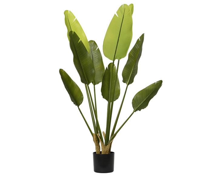 Pianta Artificiale Strelitzia in Vaso H 120 cm