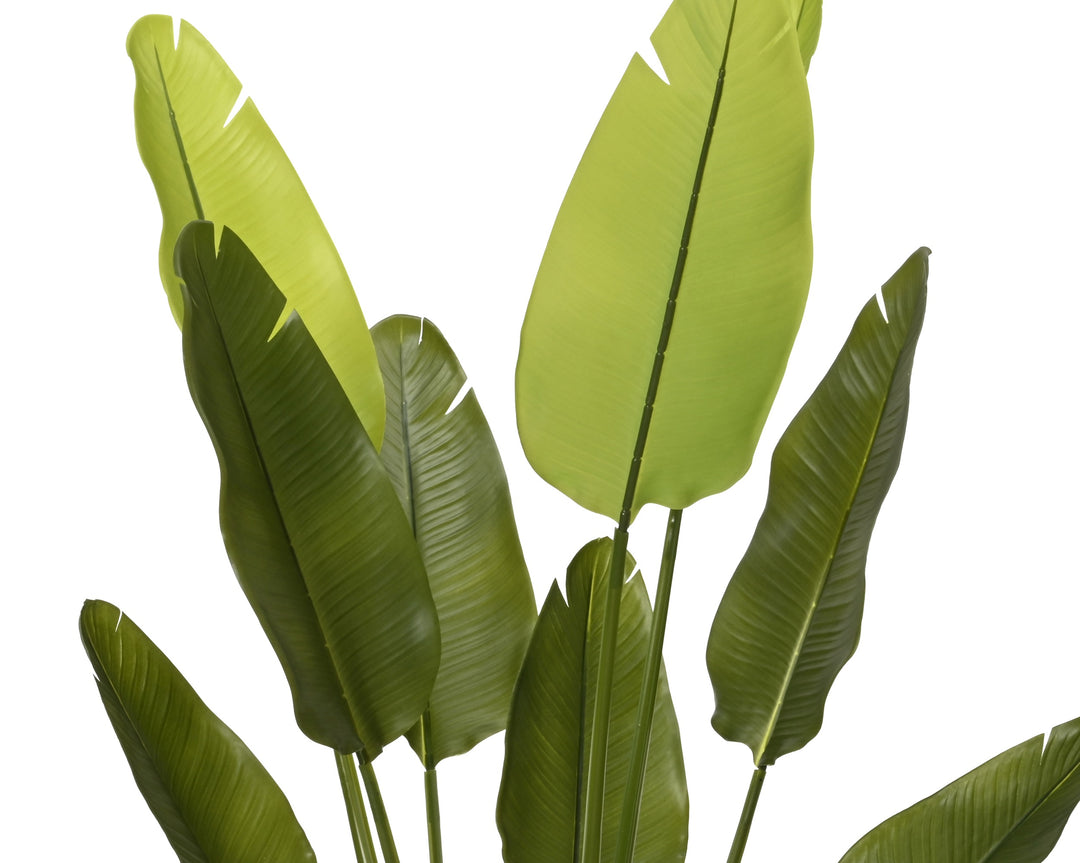 Pianta Artificiale Strelitzia in Vaso H 120 cm