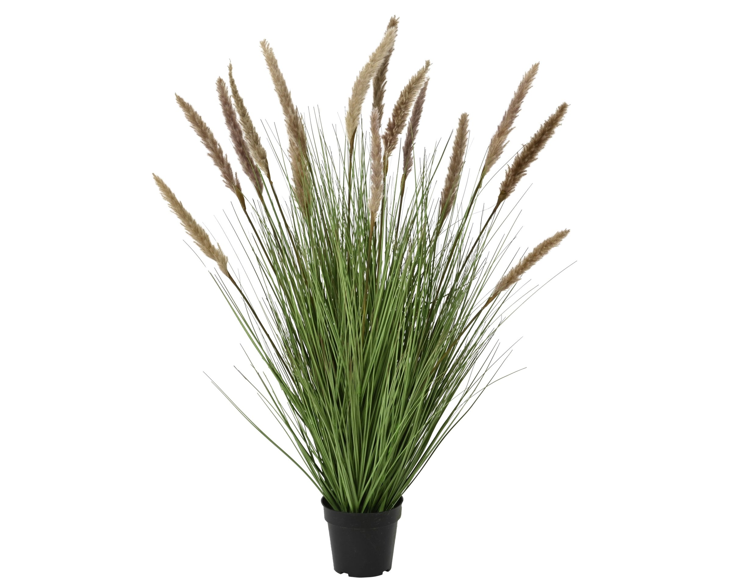 Pianta Artificiale Pampas in Vaso H 110 cm – Toni Caldi Naturali