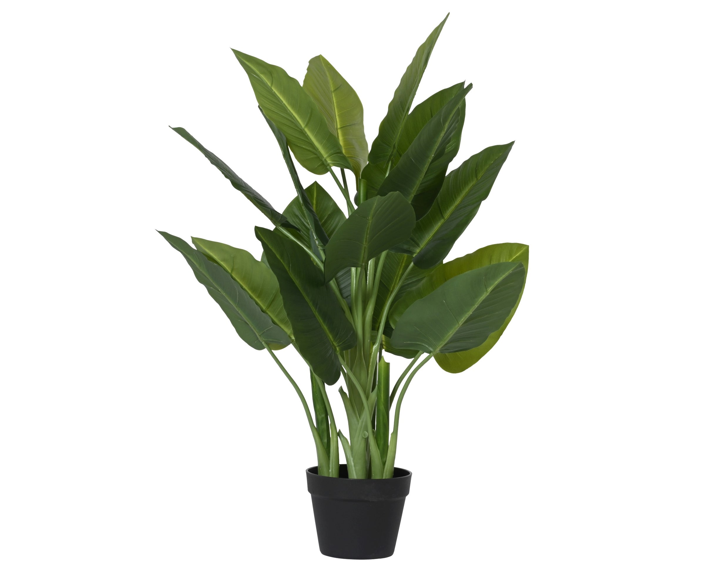 Dieffenbachia artificiale Everlands 88 cm