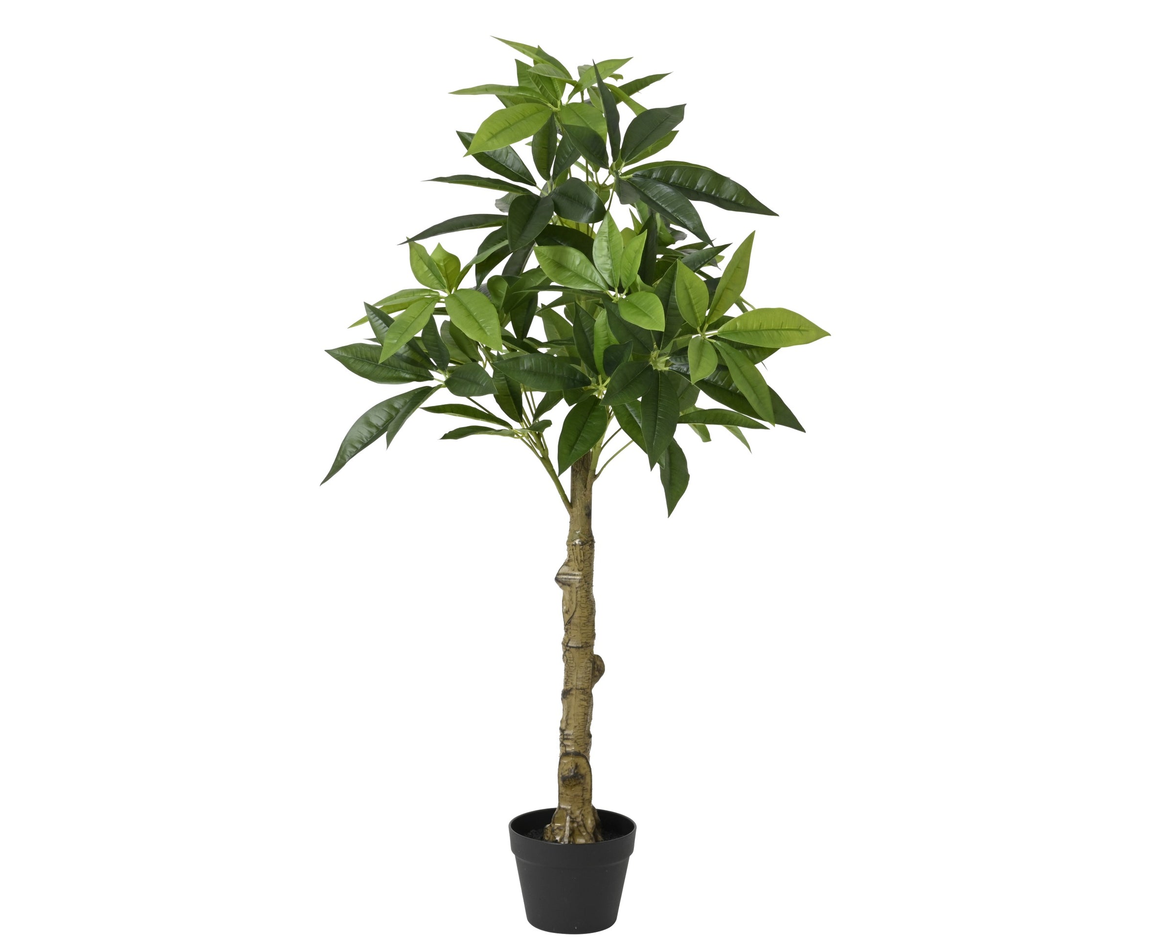 Pachira artificiale Everlands 120 cm