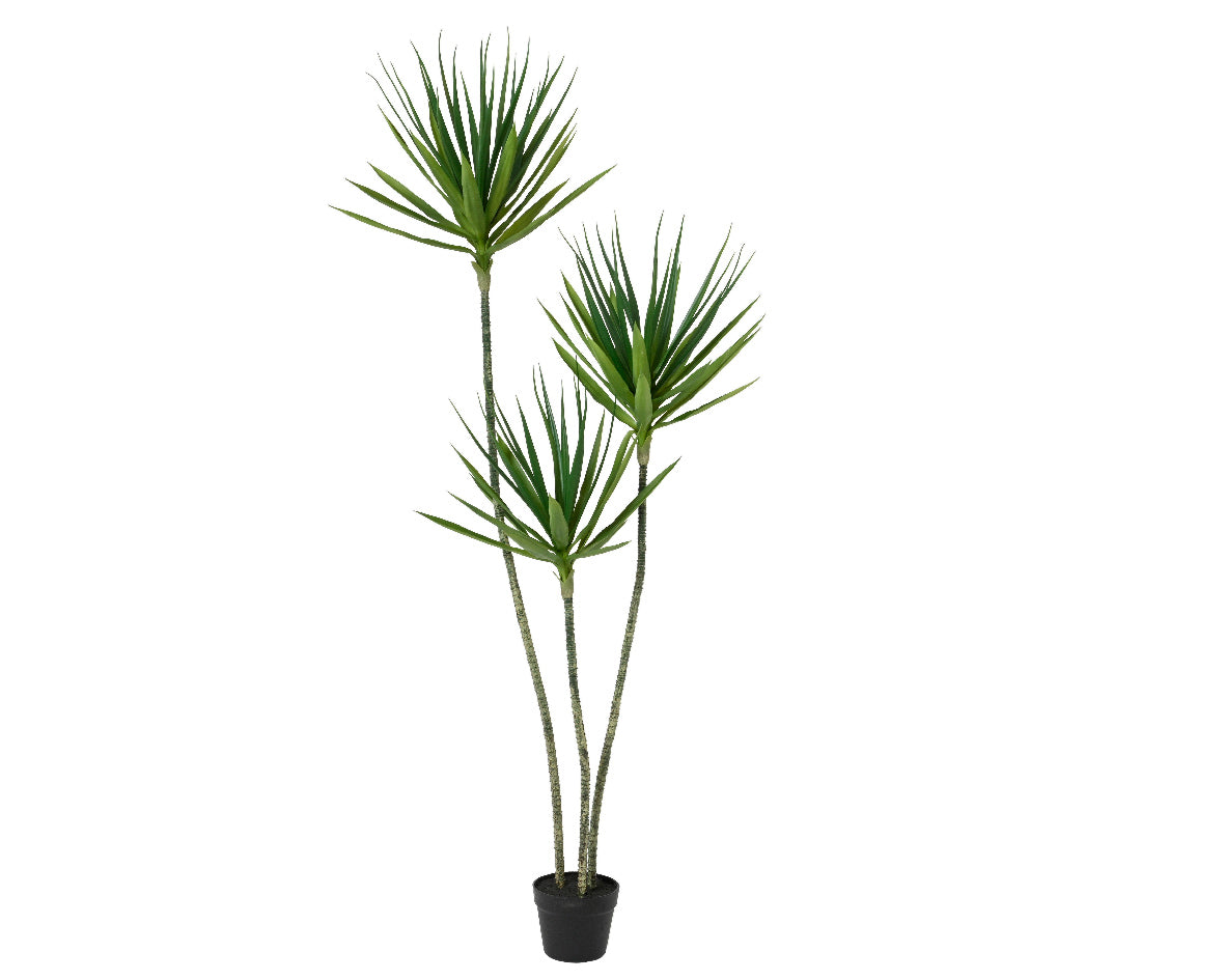 Pianta Yucca Artificiale in Vaso – H180 cm