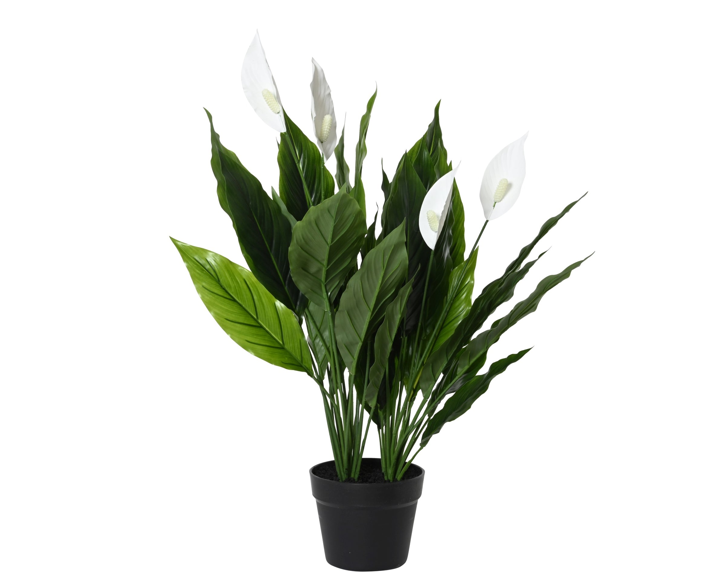 Peace Lily artificiale(Spathiphyllum) Everlands 75 cm