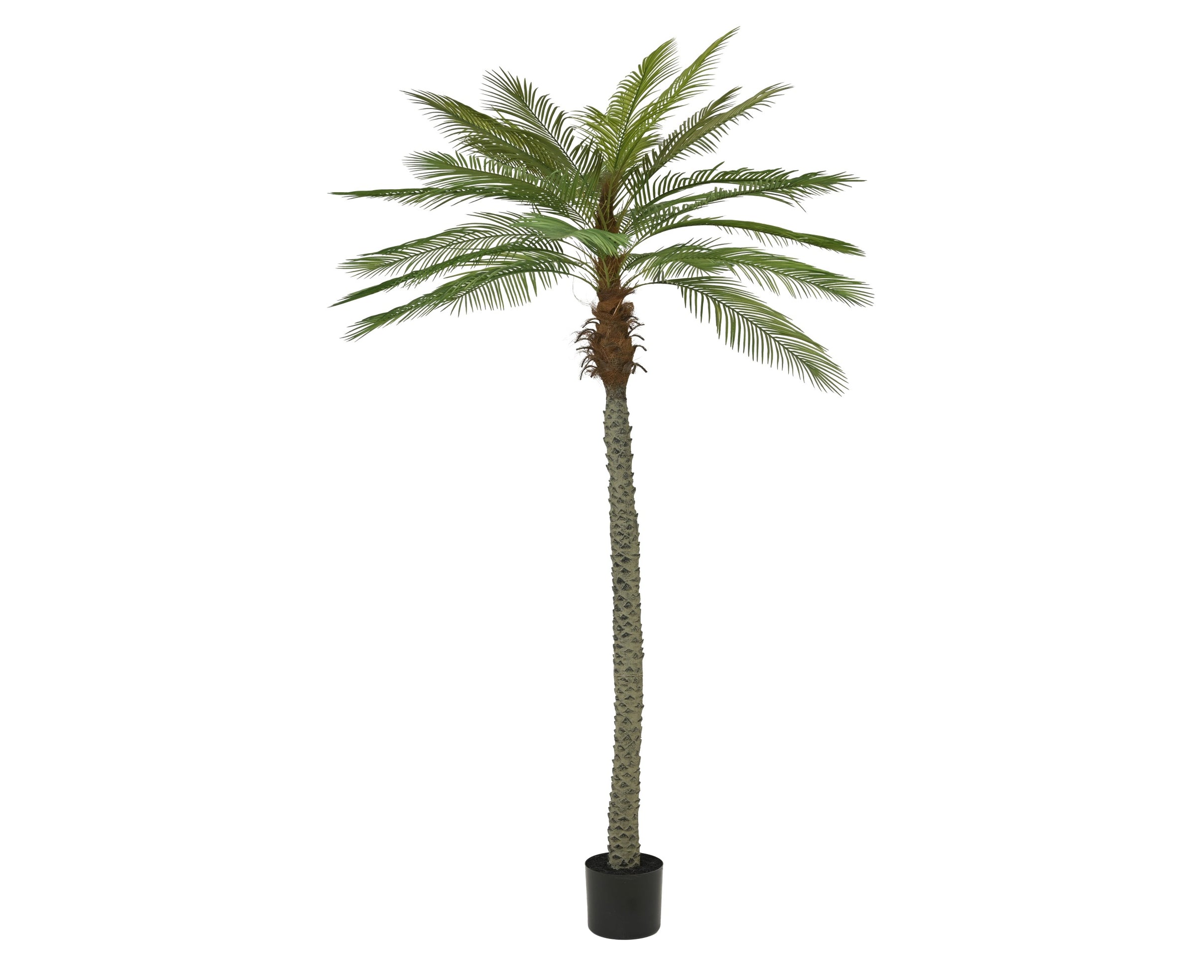 Palma artificiale Everlands 270 cm