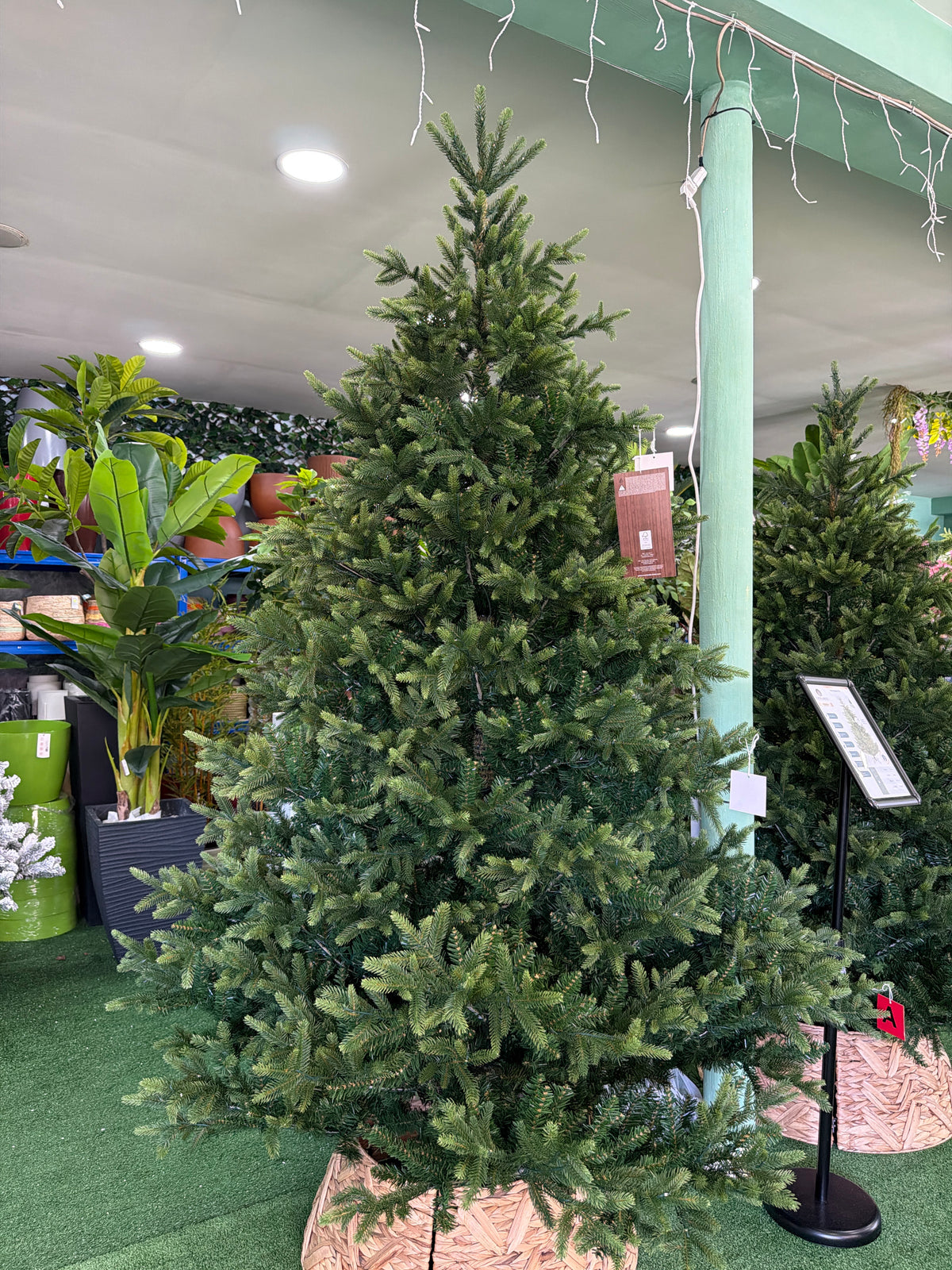 Albero di Natale Nordmann Fir 240 cm con 1200 Micro LED – Ø165 cm Everlands