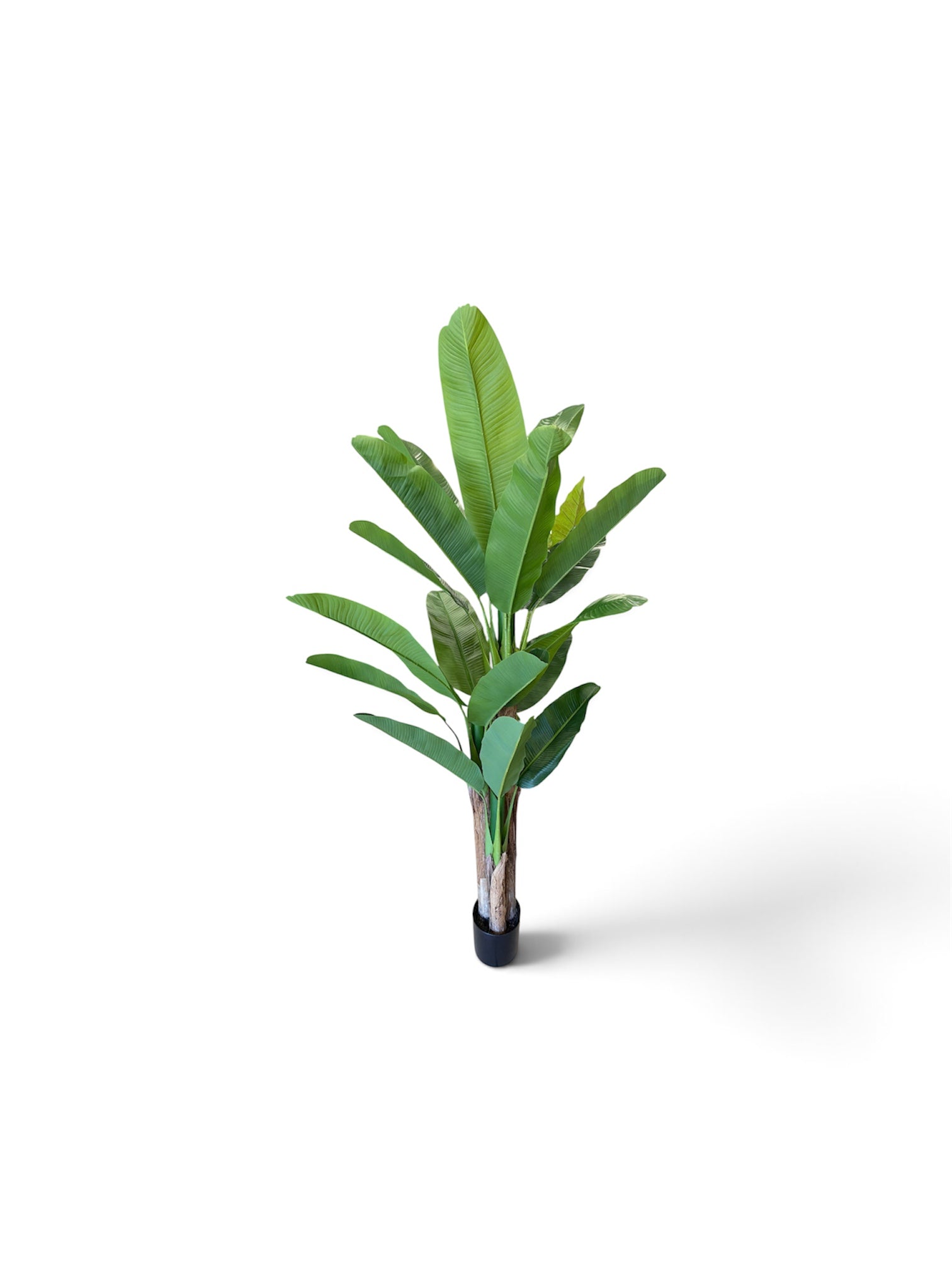 Banano Artificiale 200 cm - 3 Fusti