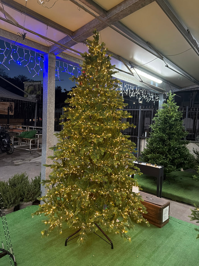 Albero di Natale Galloway Spruce 270 cm Preilluminato con 7500 LED – Ø160 cm Everlands