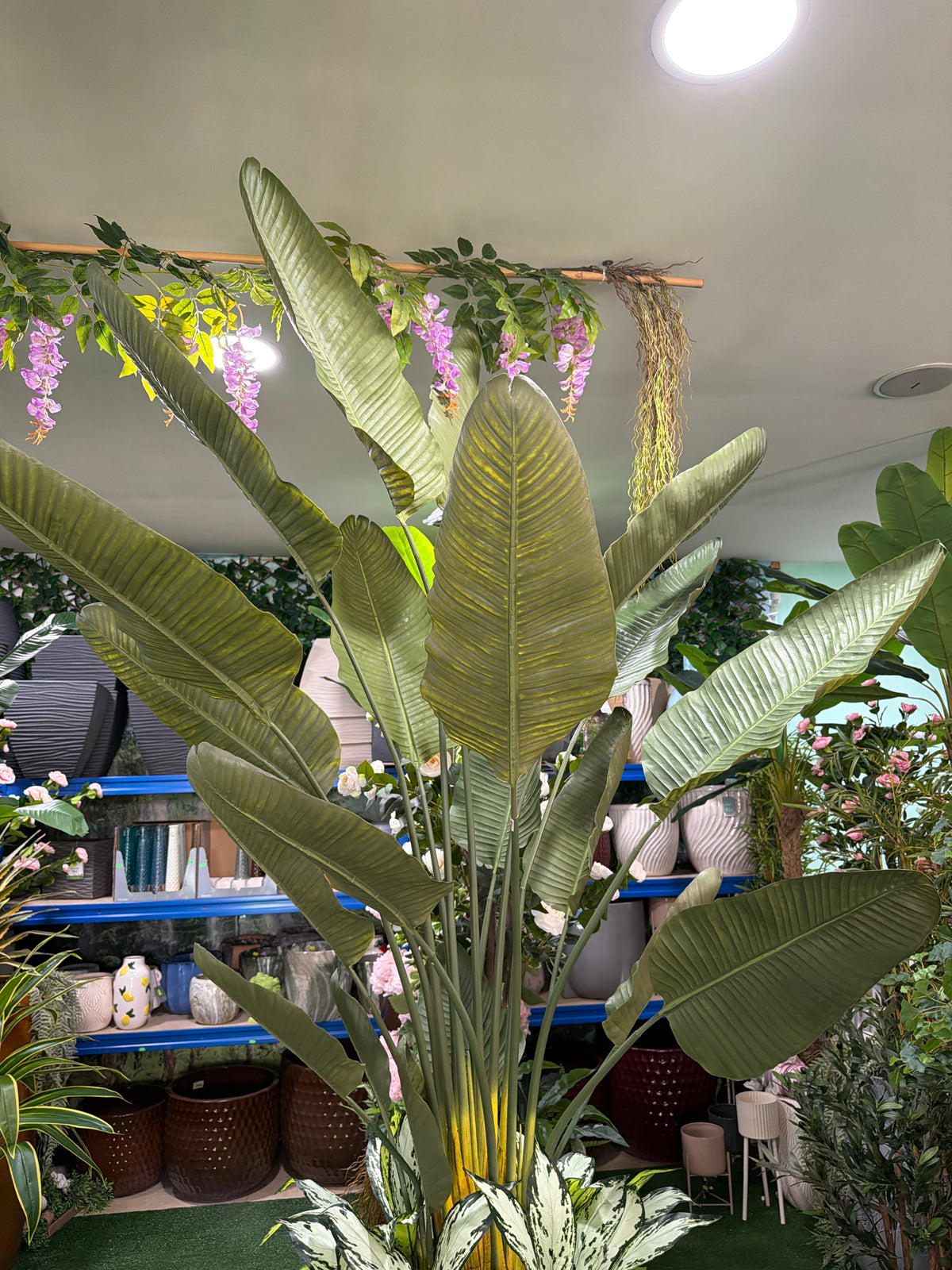 Strelitzia Artificiale 220 cm in Vaso
