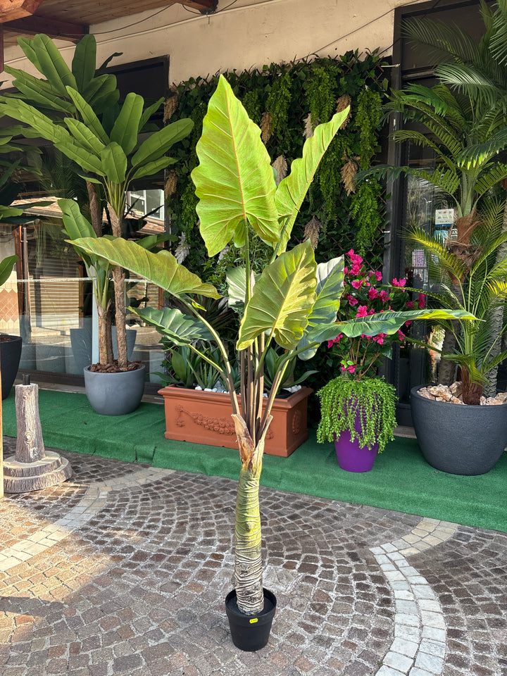 Alocasia Artificiale 170 cm