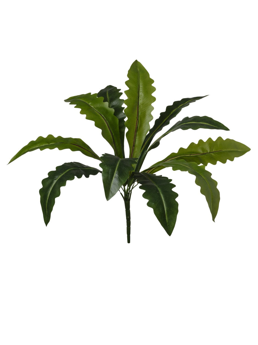Mazzo Dracena Curve Artificiale 37 cm con 11 Foglie