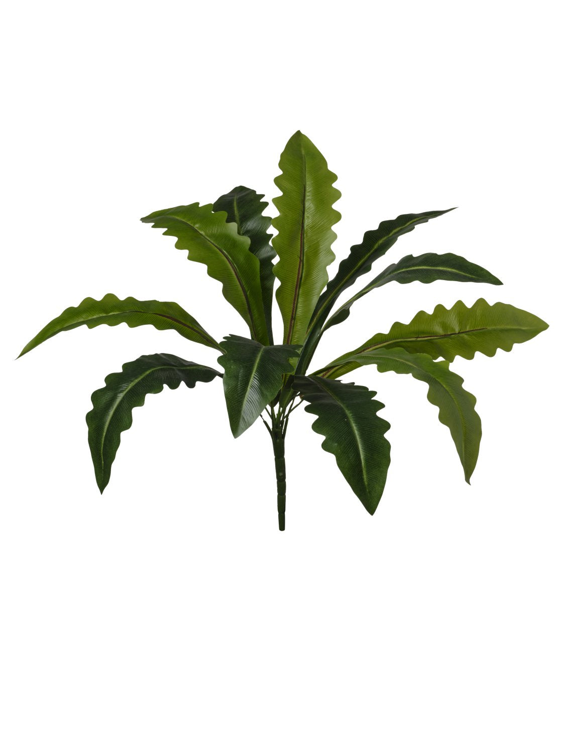 Mazzo Dracena Curve Artificiale 37 cm con 11 Foglie