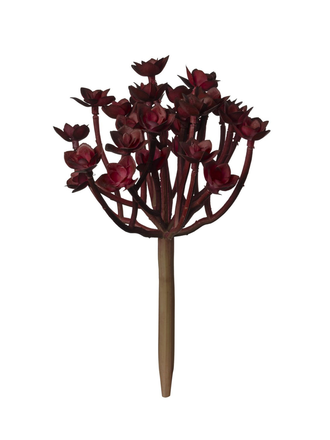 Pianta Grassa Artificiale Burgundy Green 20 cm