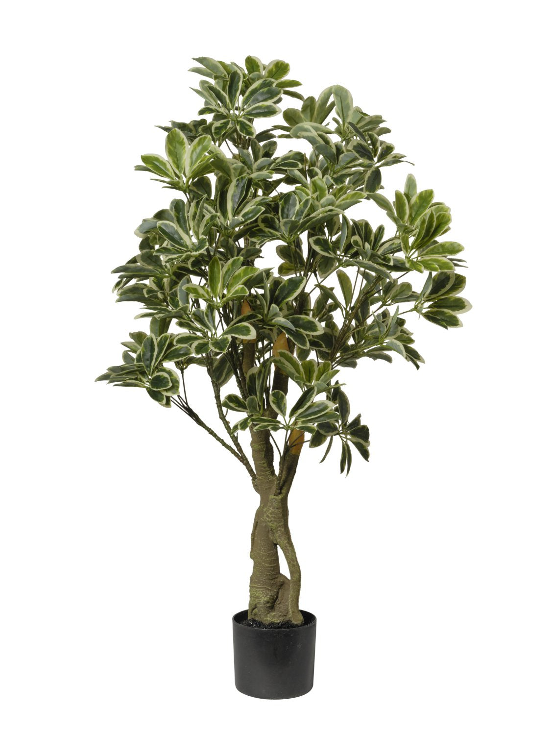Pianta Artificiale Schefflera 120 cm Variegata in Vaso - Effetto Naturale