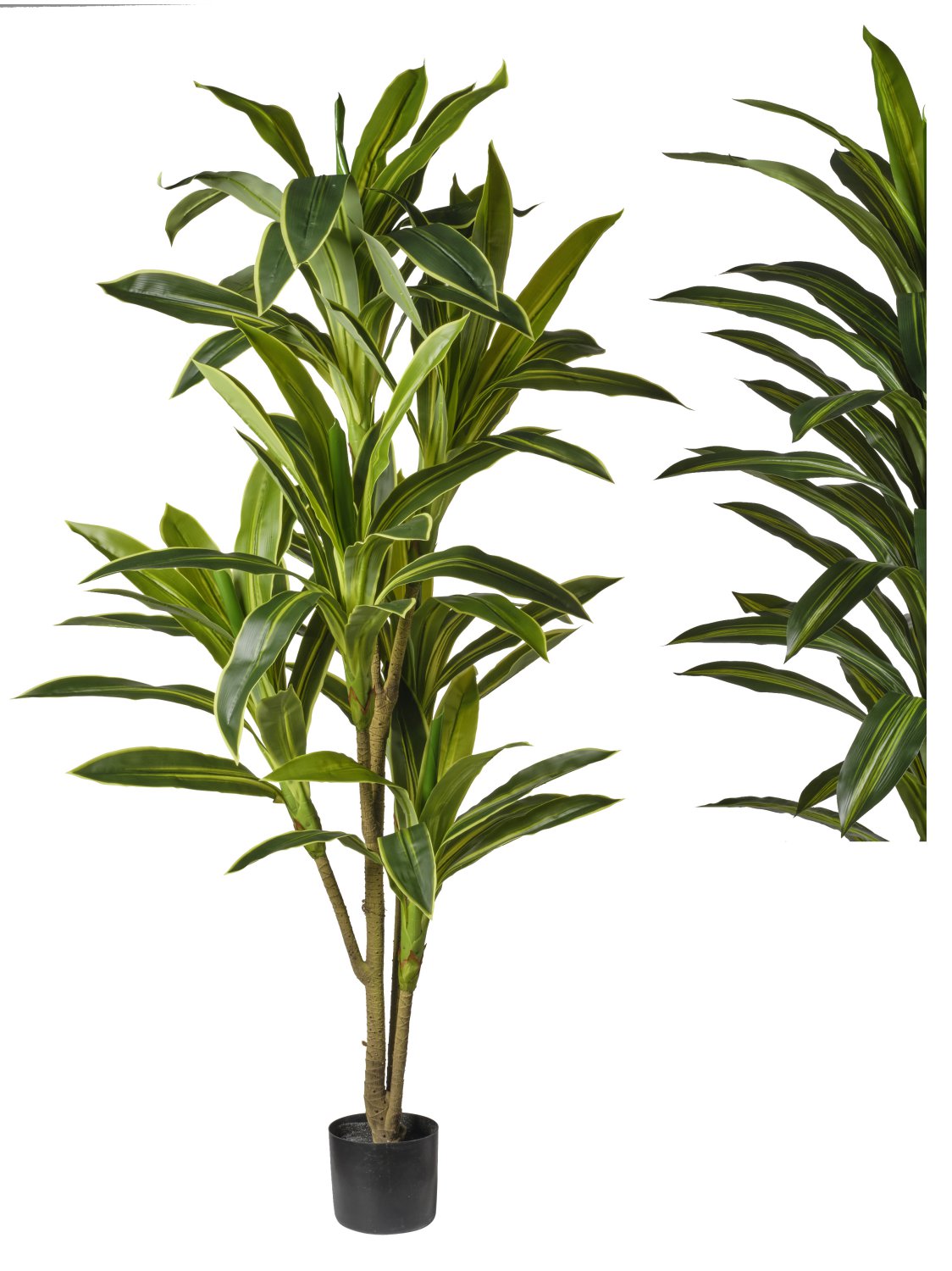 Pianta Artificiale Dracena 180 cm in Vaso con 75 Foglie - Effetto Naturale