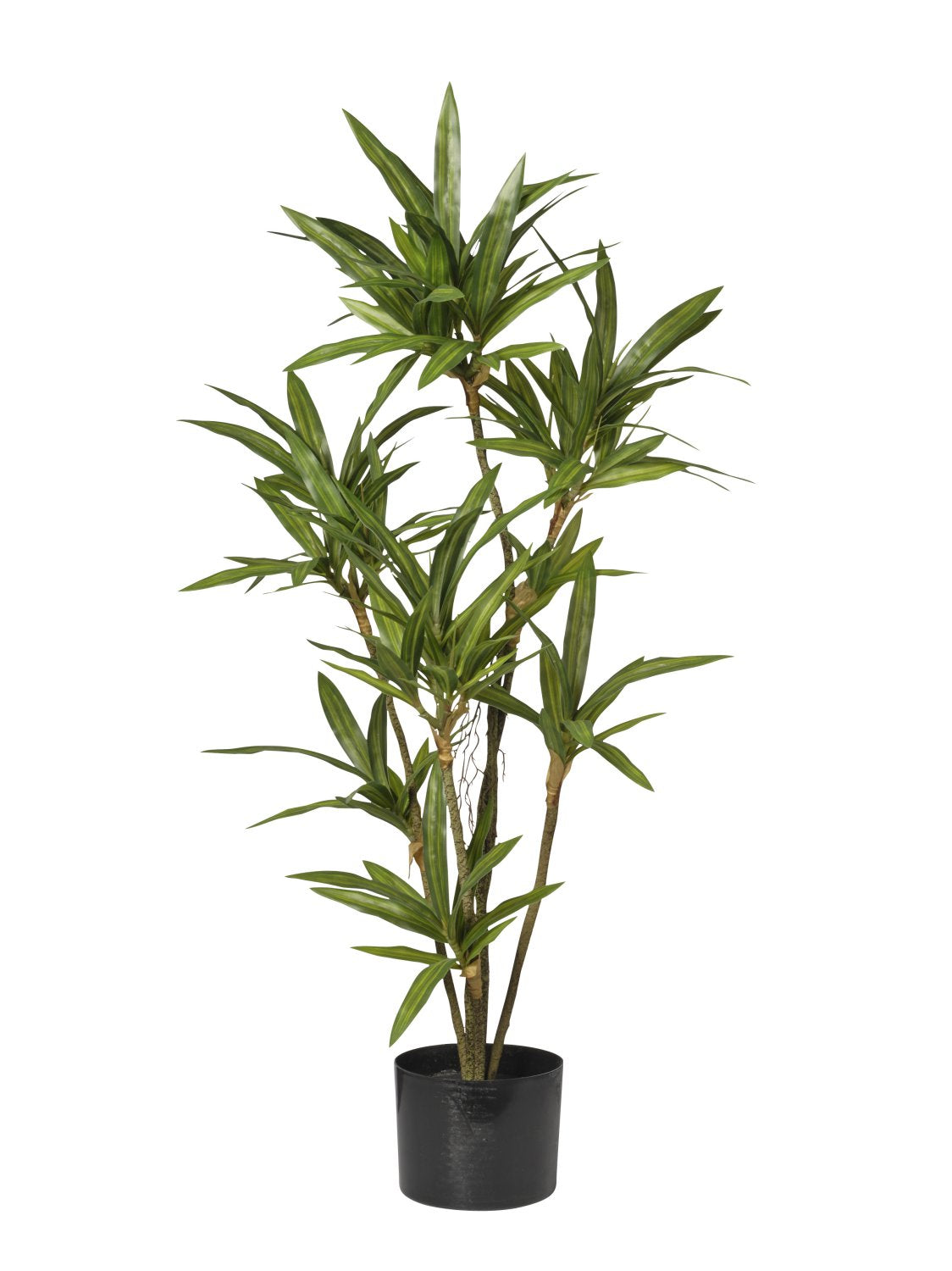 Pianta Artificiale Dracena 90 cm in Vaso con 163 Foglie - Effetto Naturale
