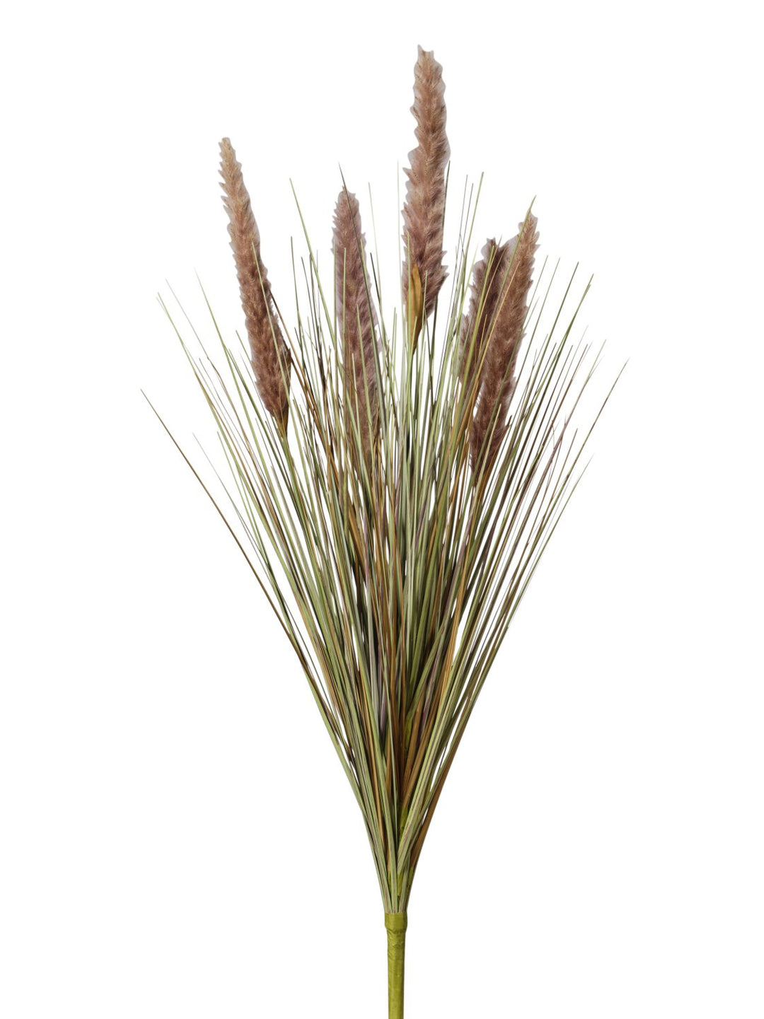 Mazzo Pampas Artificiale X5 H76 cm con Erba Naturale