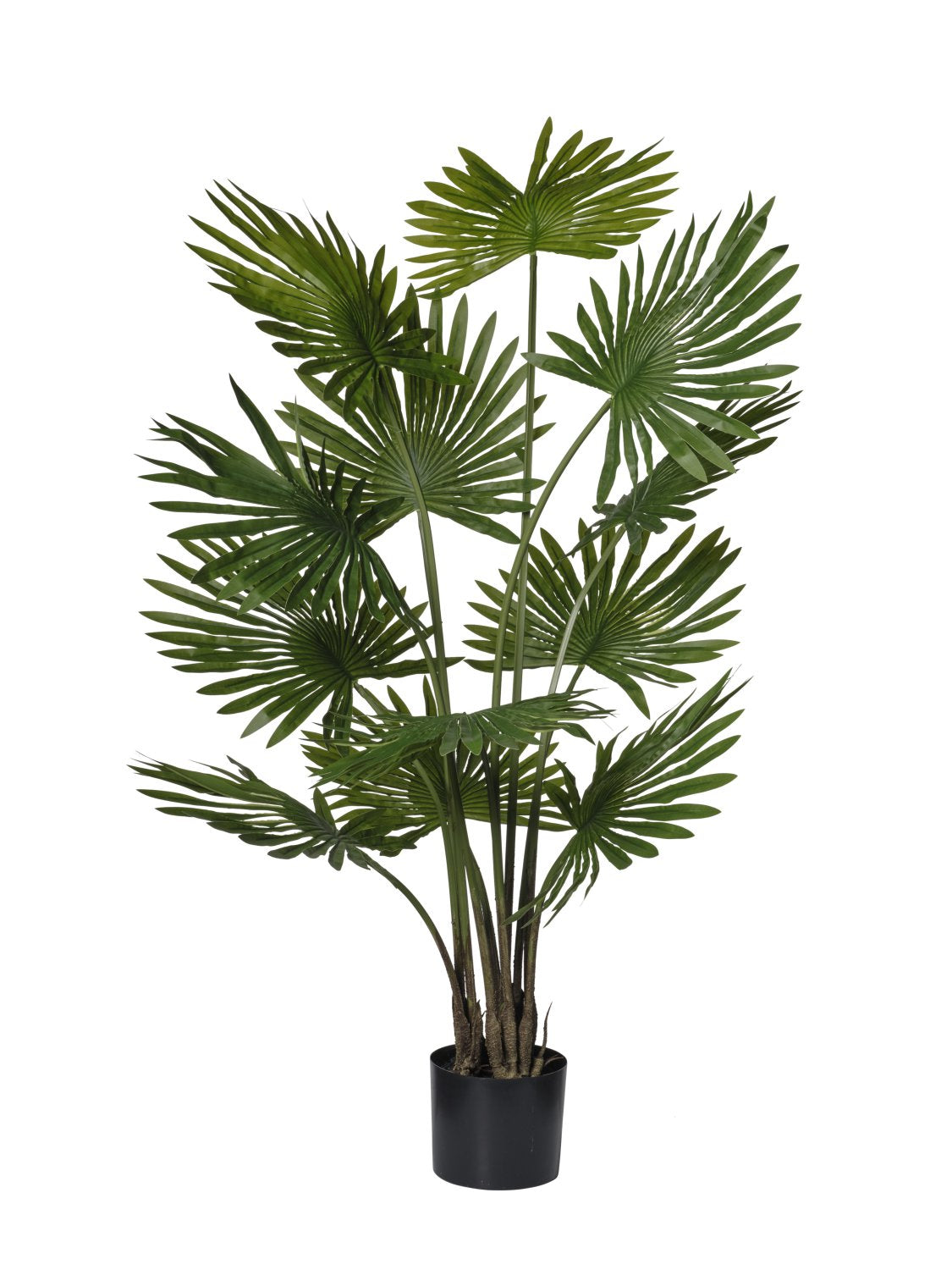 Palma Livistona Artificiale 134 cm con Vaso