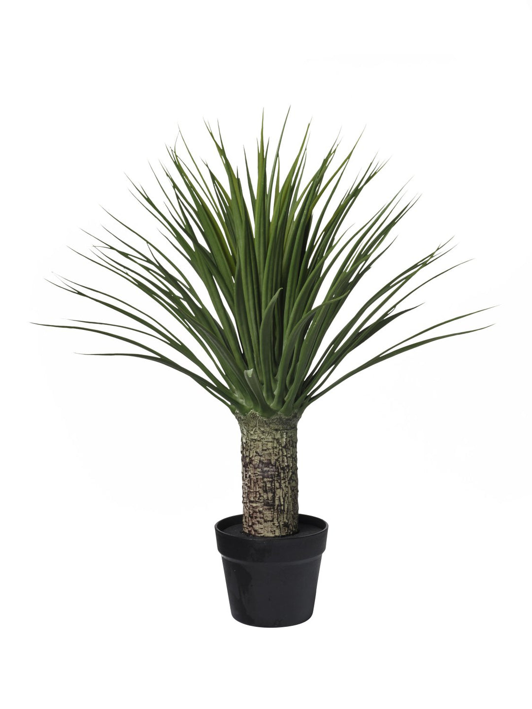 Agave Artificiale Verde 70 cm
