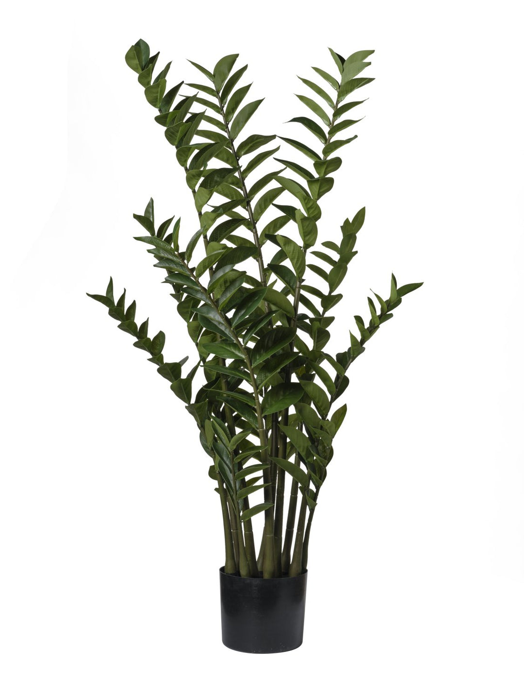 Zamioculcas Artificiale 110 cm con 231 Foglie – Verde
