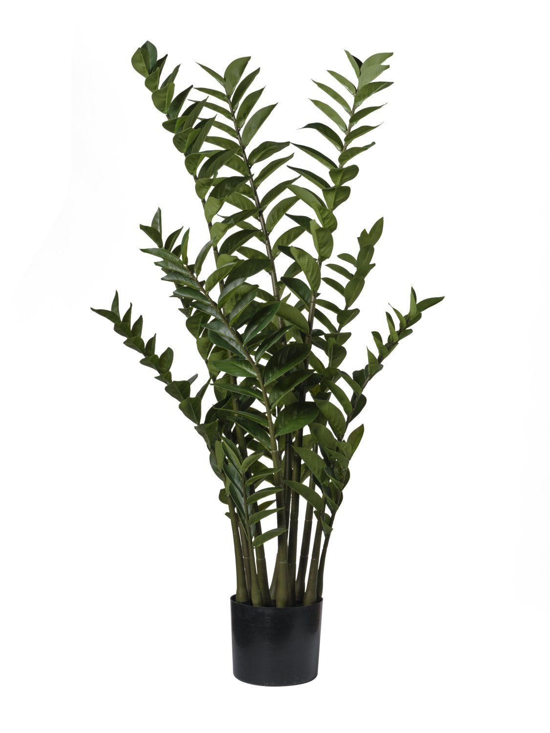 Zamioculcas Artificiale 110 cm con 231 Foglie – Verde