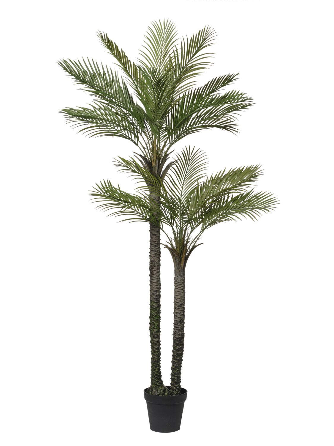 Palma Artificiale 190 cm con 24 Foglie - Pianta Finta Realistica in Vaso