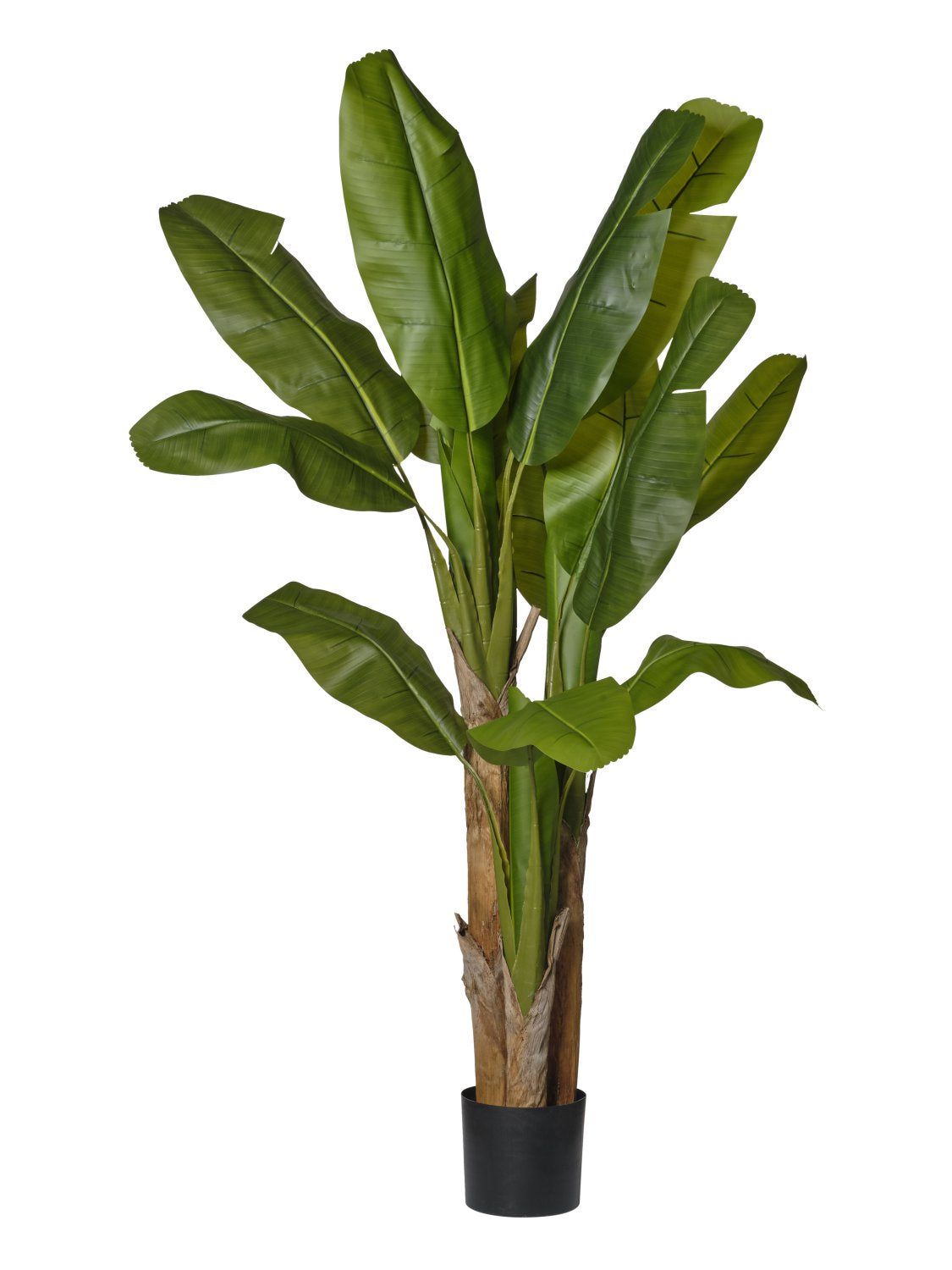 Pianta di Banano Artificiale Triplo Fusto | H. 180 cm | Verde