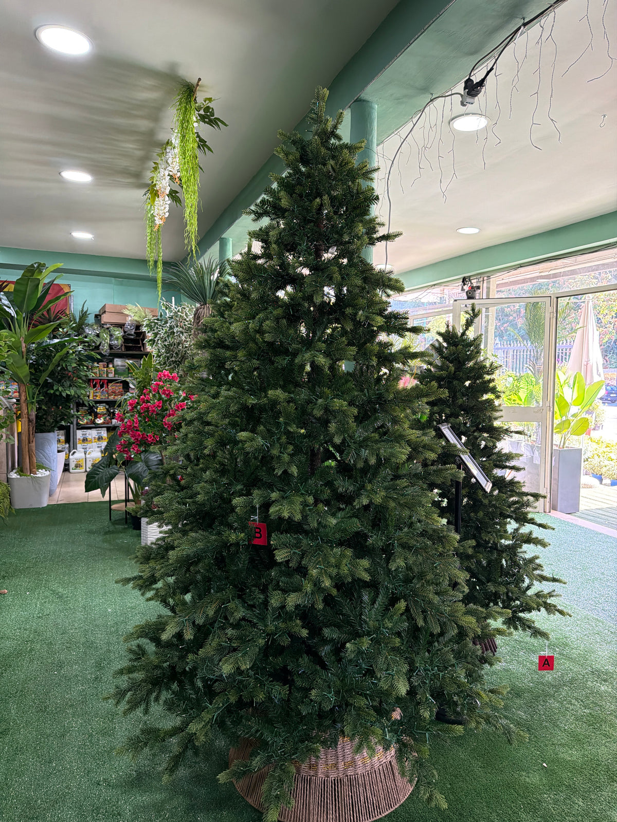 Albero di Natale Galloway Spruce 240 cm con 5400 LED – Ø150 cm Everlands