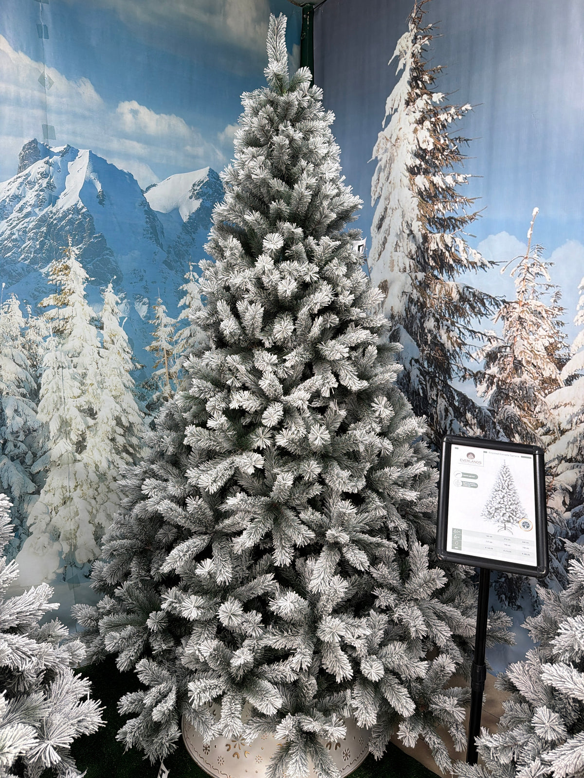 Albero di Natale Canada Spruce Frosted 240 cm Ø150 cm Everlands – 1.910 Punte