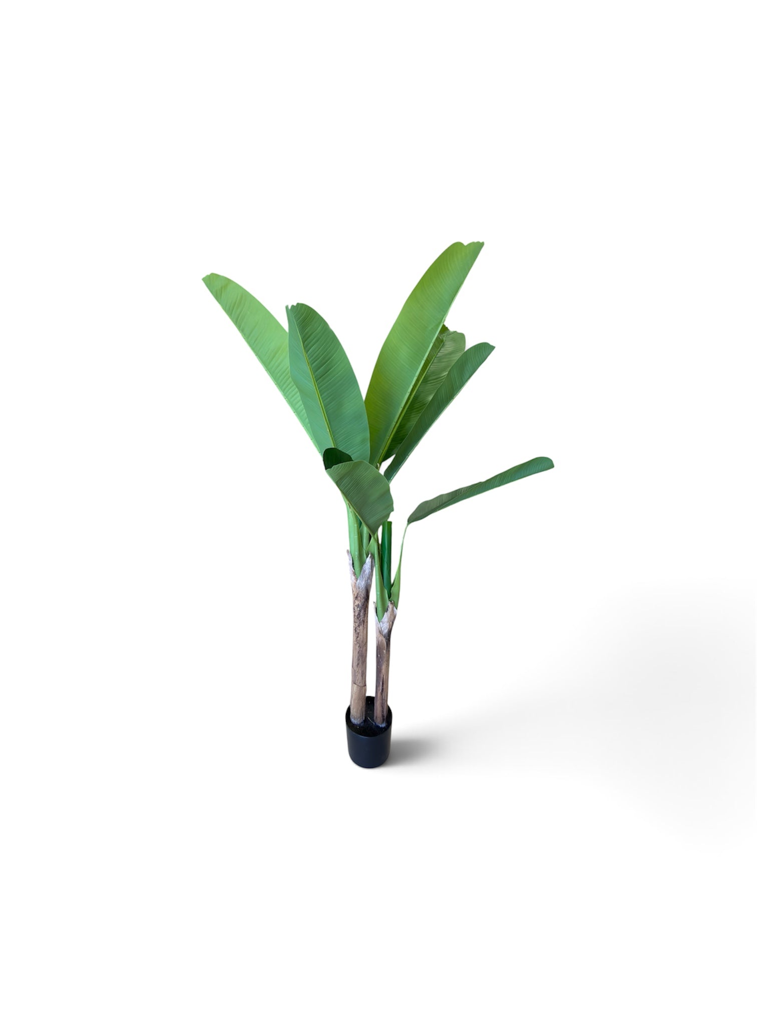 Banano Artificiale 160 cm - 2 Fusti