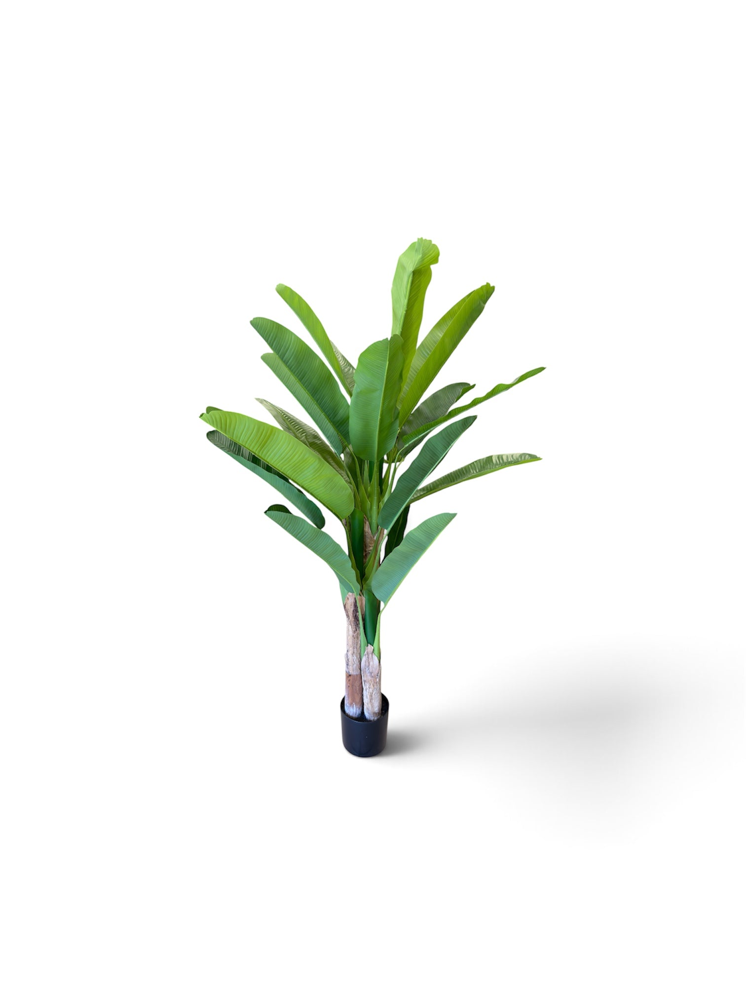 Banano Artificiale 180 cm - 3 Fusti