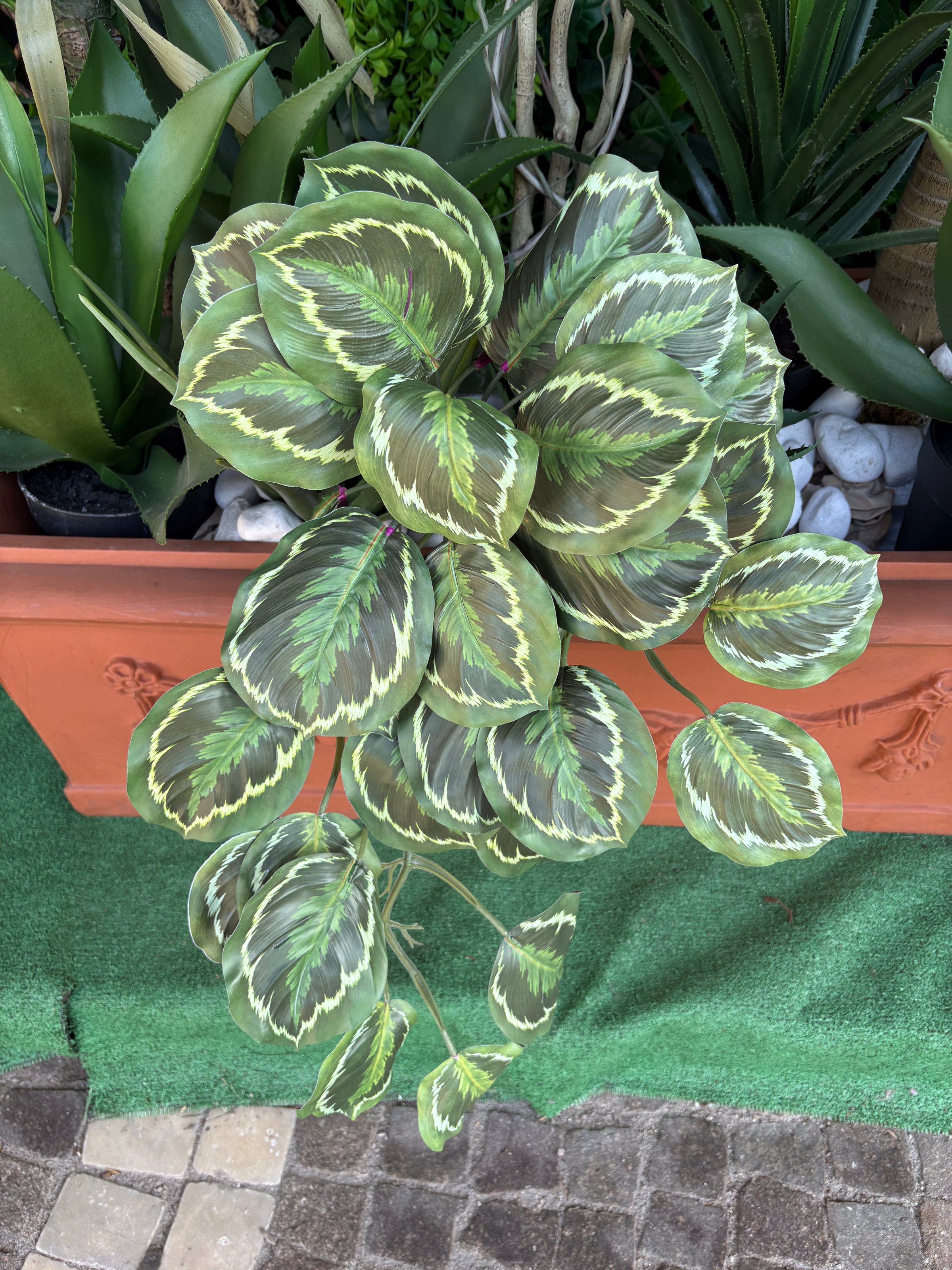 Calathea Cascante Artificiale – Lunghezza 60 cm