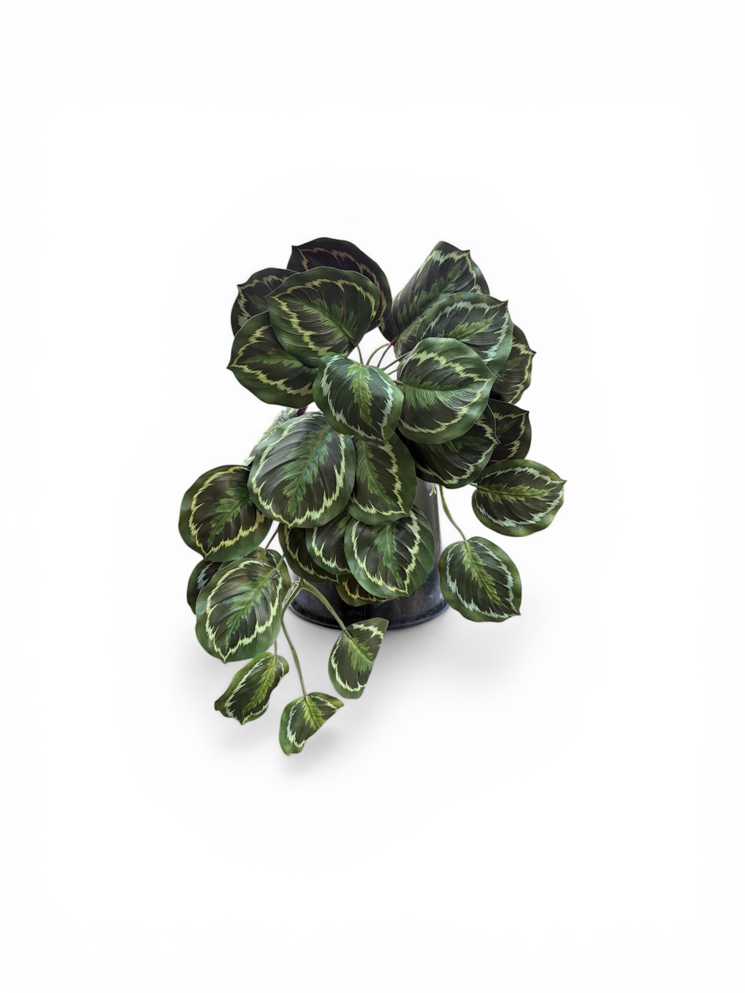Calathea Cascante Artificiale – Lunghezza 60 cm