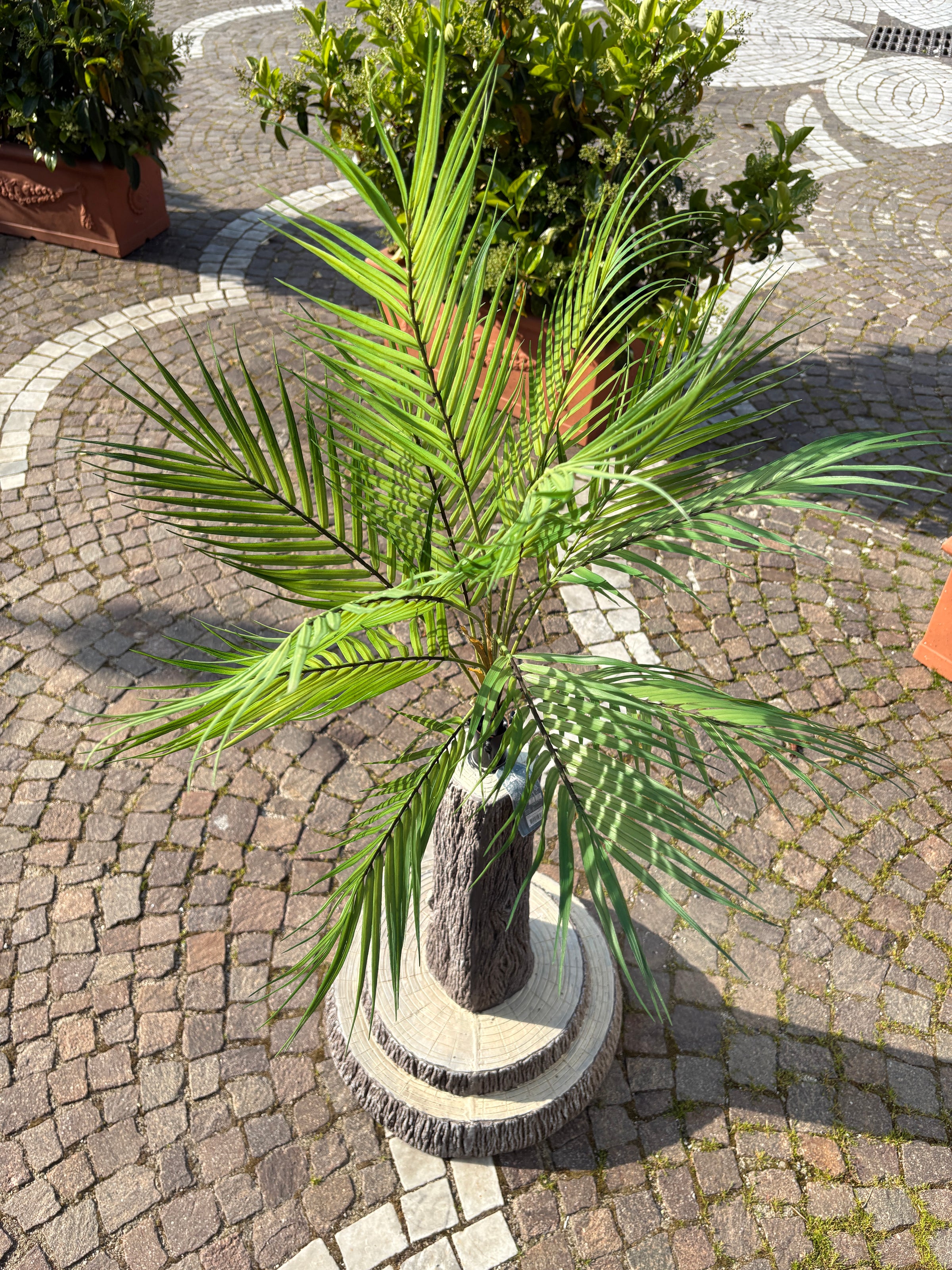 Ciuffo Kentia Artificiale 12 Foglie – Altezza 81 cm
