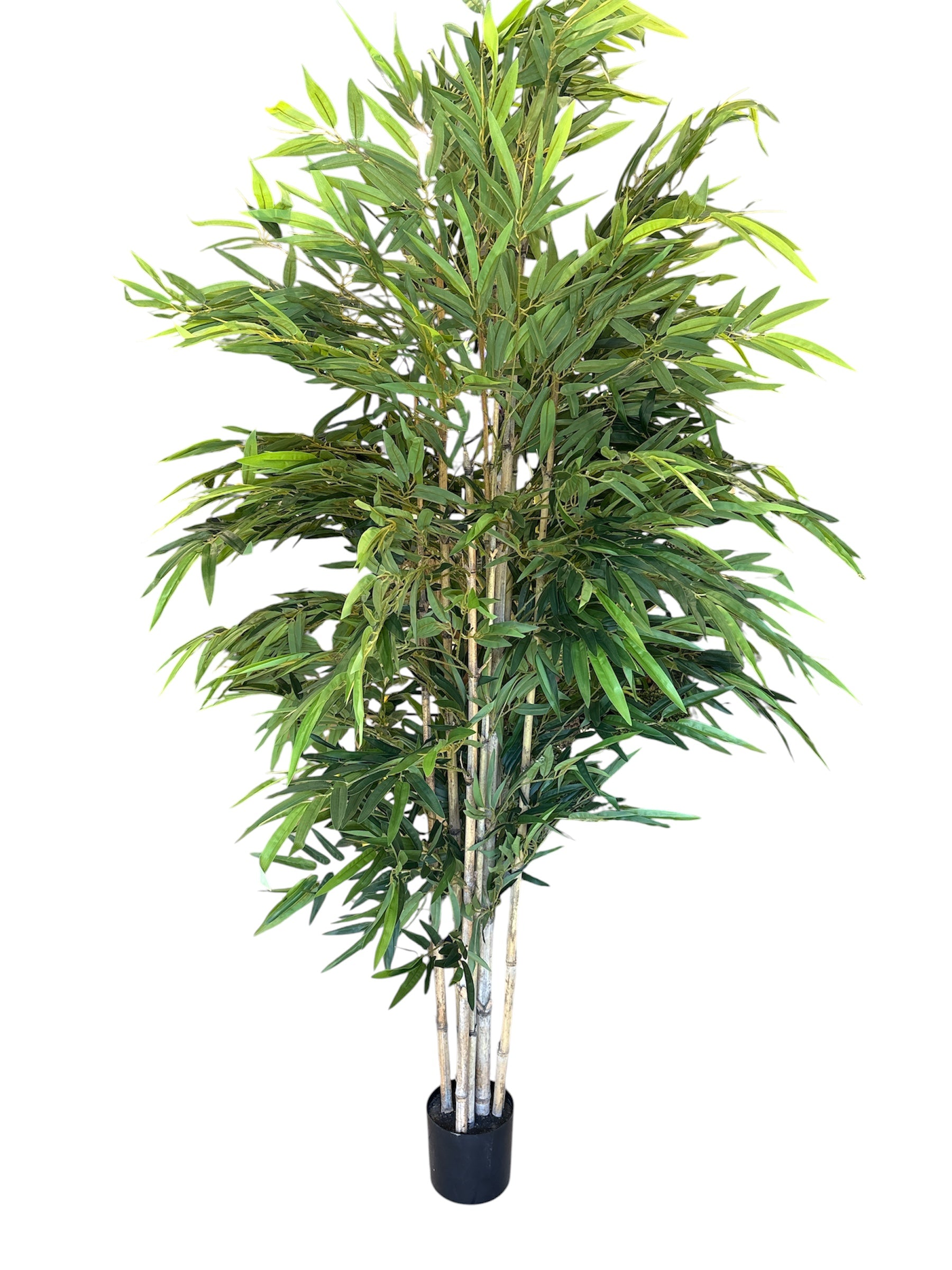 Albero di Bambu Artificiale 220 cm — 8 Canne | Linea Premium