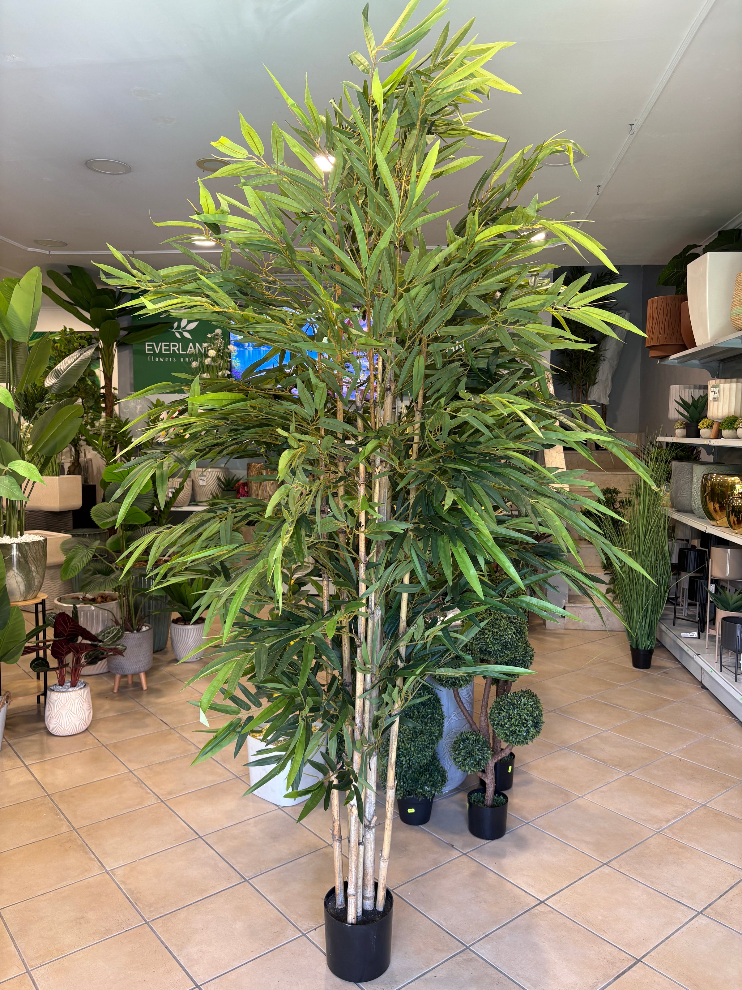 Albero di Bambu Artificiale 220 cm — 8 Canne | Linea Premium