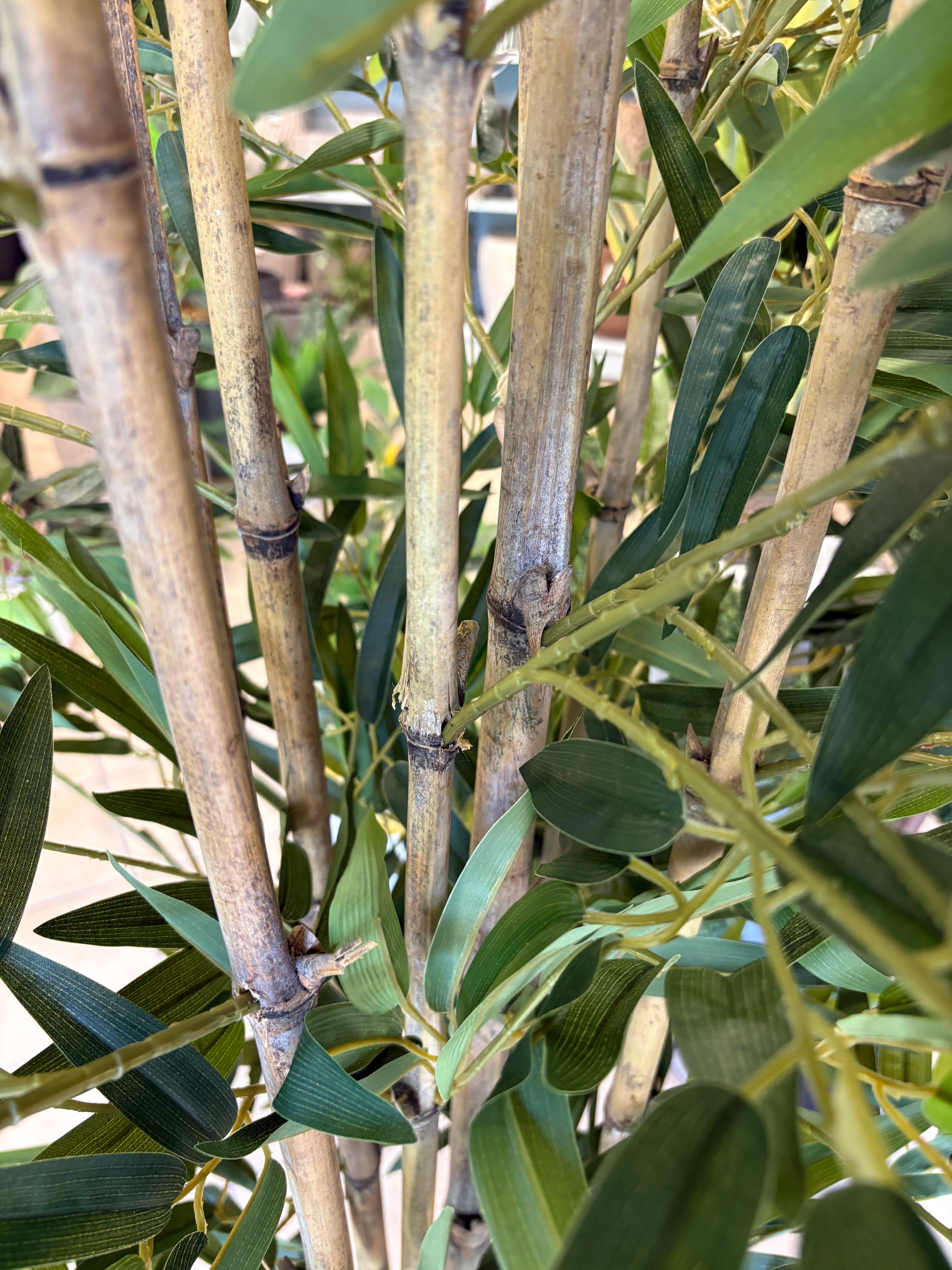 Albero di Bambu Artificiale 220 cm — 8 Canne | Linea Premium