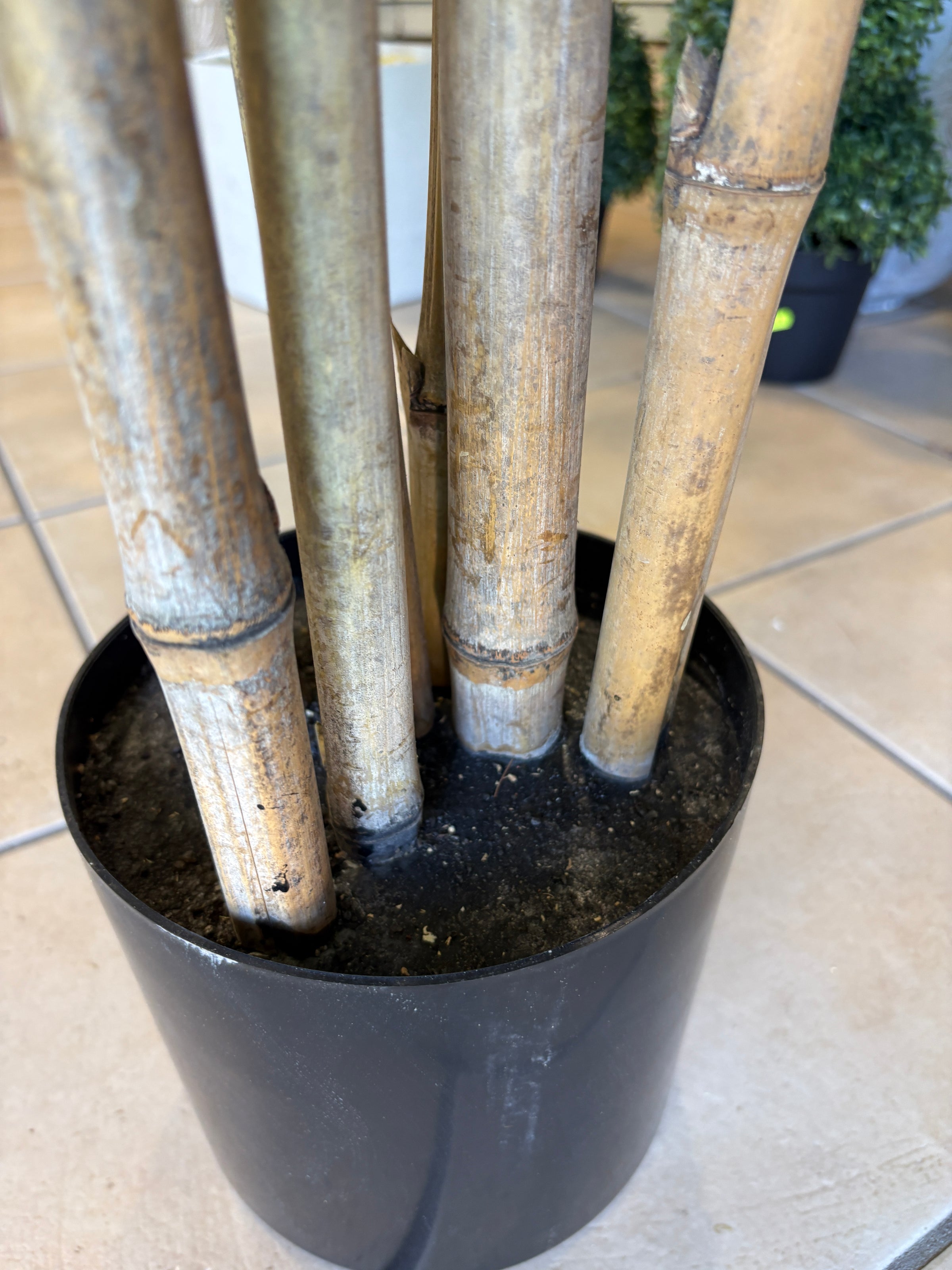 Albero di Bambu Artificiale 220 cm — 8 Canne | Linea Premium