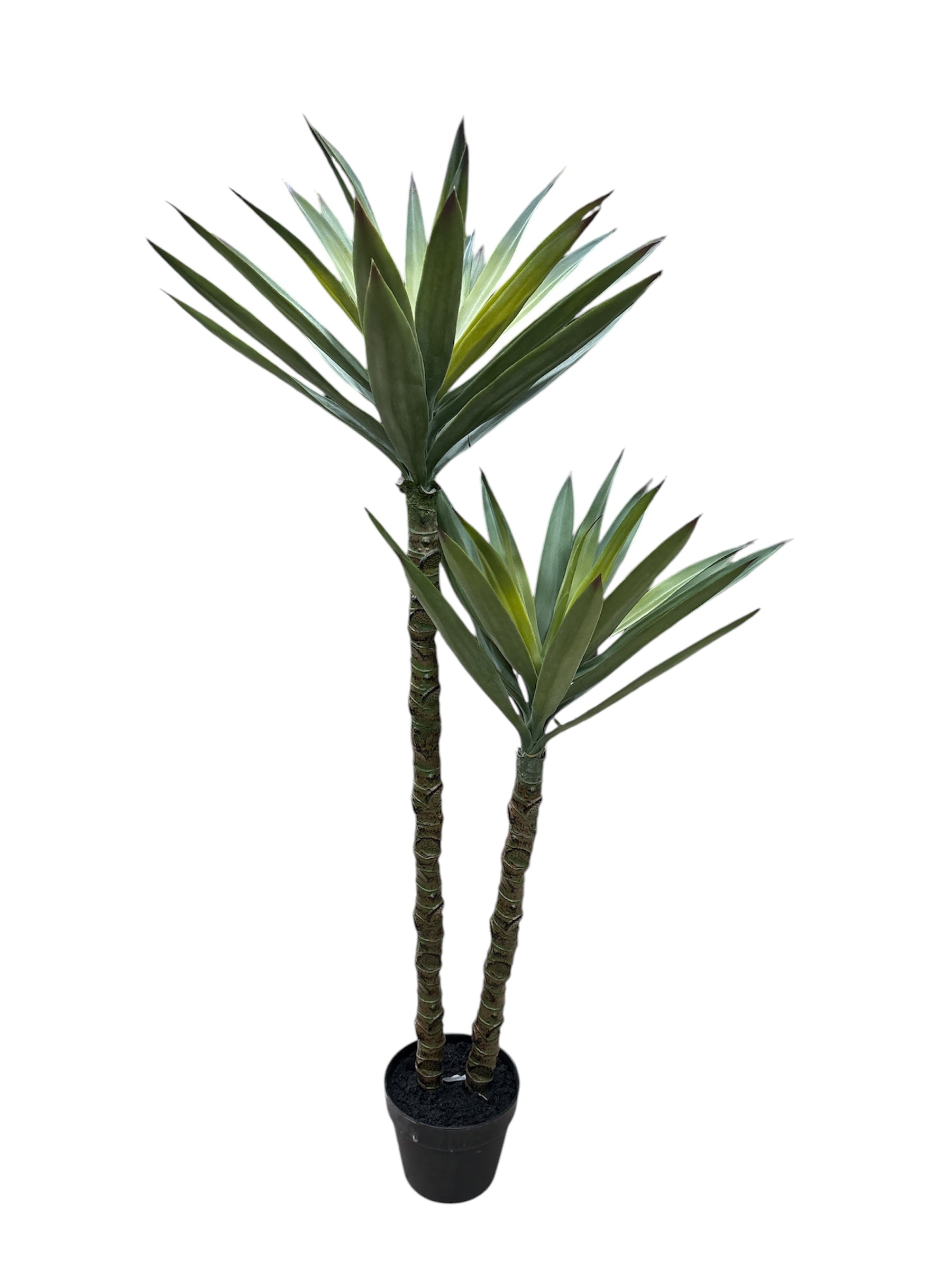 Pianta Yucca del Guatemala Artificiale in Vaso – H125 cm