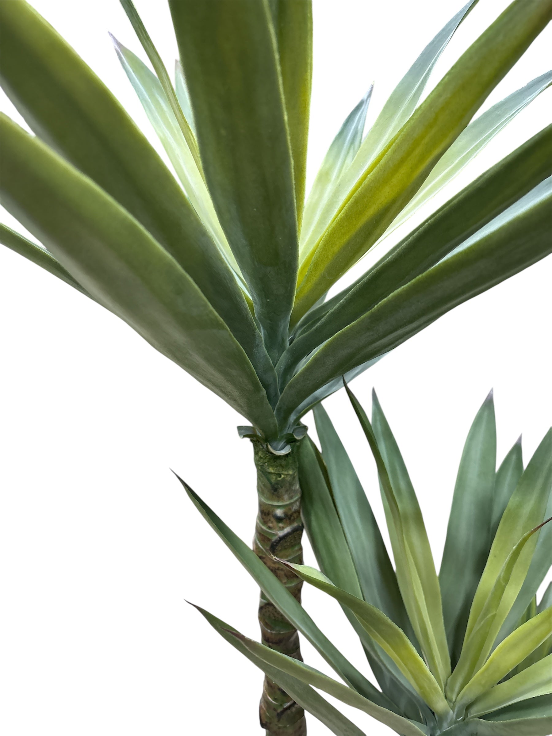 Pianta Yucca del Guatemala Artificiale in Vaso – H125 cm